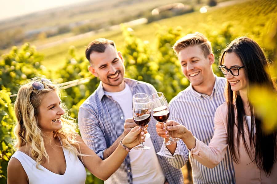 Santiago: World-class Wines, Visit to 4 Vineyards and Tanino - Four wineries, four different ways to meet Chilean wine
