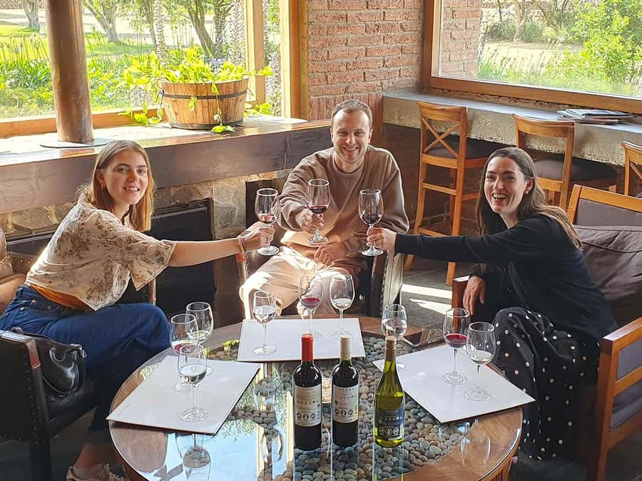 Santiago: World-class Wines, Visit to 4 Vineyards and Tanino - Viñamar: a good stop for sparkling wine