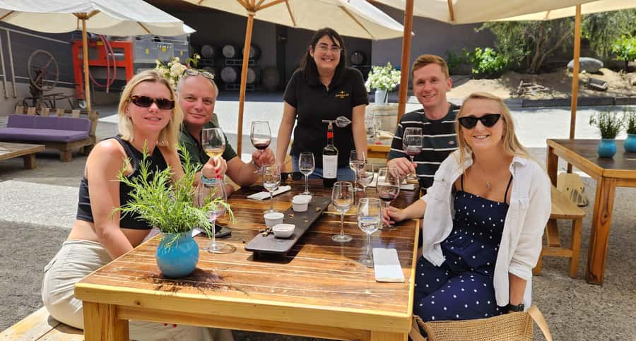 Santiago: World-class Wines, Visit to 4 Vineyards and Tanino - Bodegas RE: the most individual stop