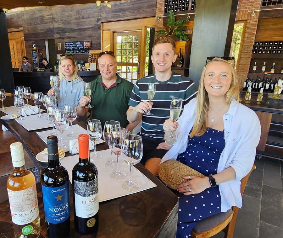 Santiago: World-class Wines, Visit to 4 Vineyards and Tanino - The guides can make or break a long wine day