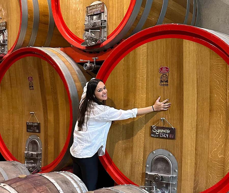 Santiago: World-class Wines, Visit to 4 Vineyards and Tanino - Emiliana: organic farming with three wines