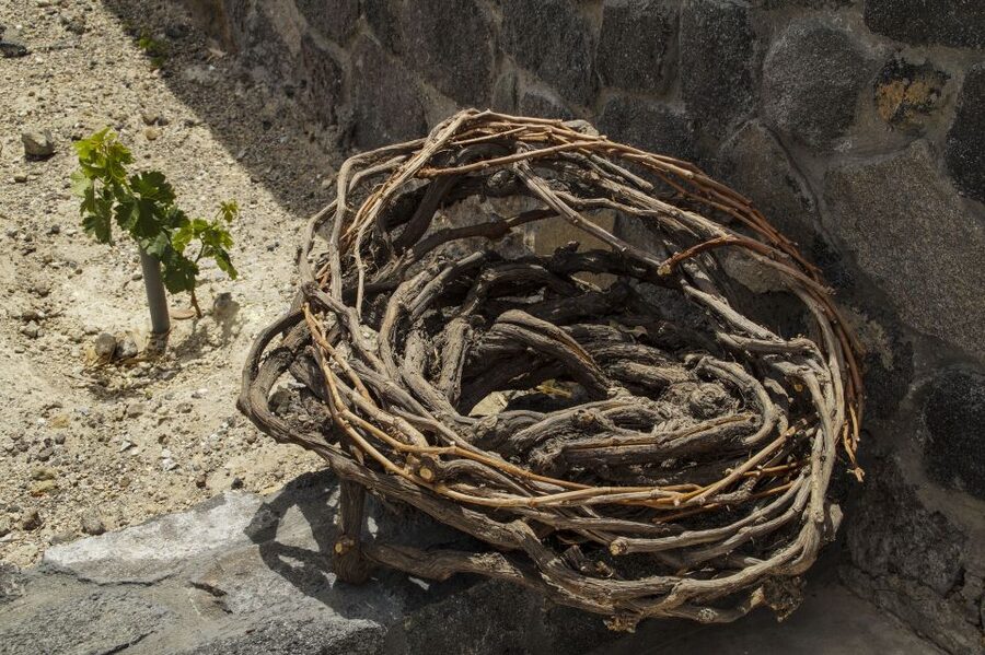 Santorini: Three Wineries and One Brewery Tour with Tastings - The final winery changes, so stay flexible