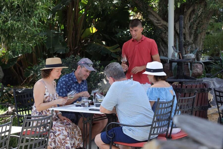 Santorini: Tour of Wineries with Wine Tasting & Food - Key points to know before booking