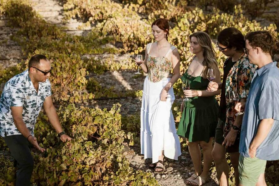 Santorini: Wine Tasting Tour with Snacks - The first stop: vines, volcanic soil, and Estate Argyros