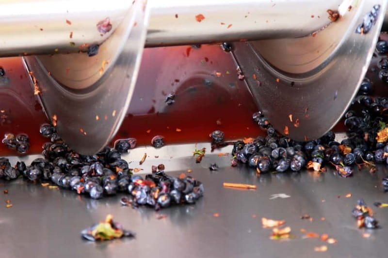 Sardinia: Winery Tour and Wine Tasting Experience - What makes this Sardinian winery visit worth your time