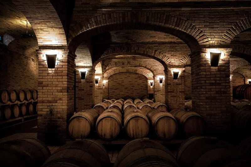 Sardinia: Winery Tour and Wine Tasting Experience - Why this winery gives you a better feel for Sardinia