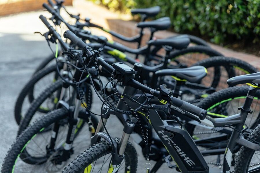 Scenic E-Bike Ride with Vineyard Wine & Meal - From Naples streets to the Phlegrean Fields