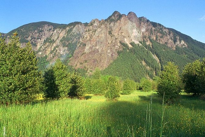 Seattle Wine & Snoqualmie Falls Highlights Tour - Snoqualmie Falls after the rain