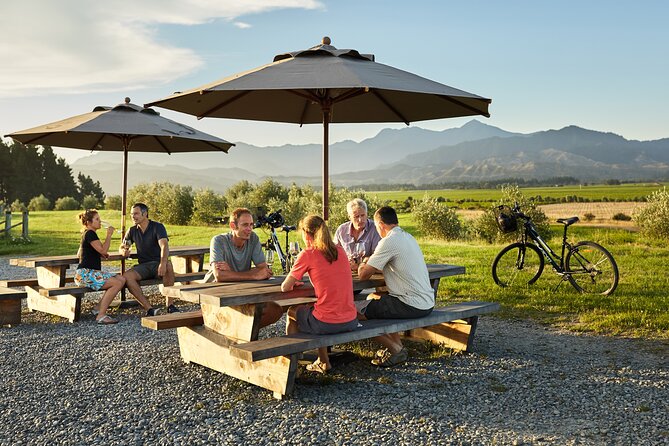 Self-Guided Biking Wine Tour (full day) in the Marlborough Region. - Standard bikes, e-bikes, and tandems