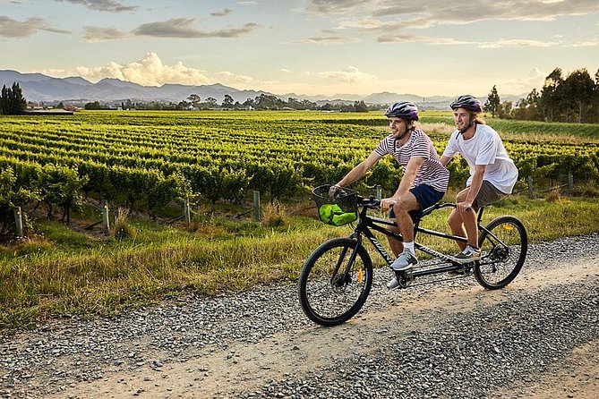Self-Guided Biking Wine Tour (full day) in the Marlborough Region. - Who should book this experience