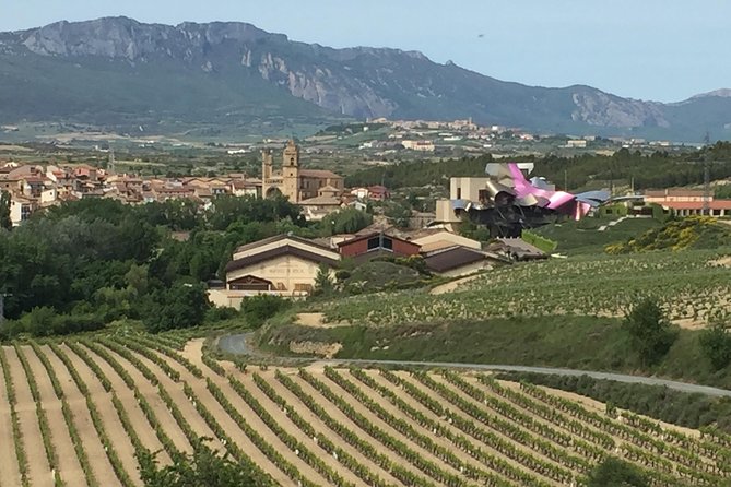 Semi-Private Rioja Tour of 3 Premium Wineries from Bilbao - A quick look at Frank Gehry’s Marqués de Riscal hotel