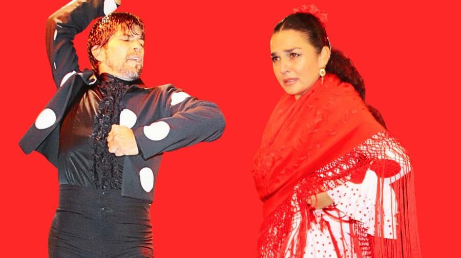Seville: Flamenco Show & Cocktail Experience - Key points to know before booking
