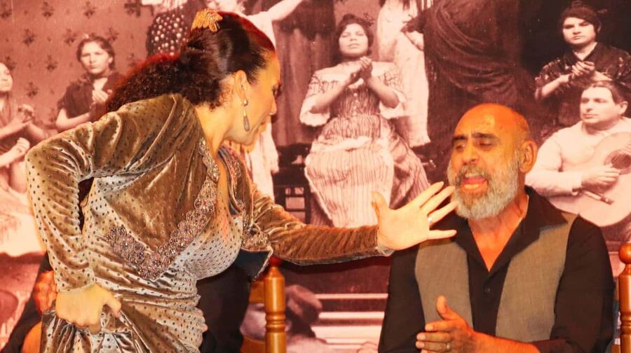 Seville: Flamenco Show & Cocktail Experience - Who will enjoy this Seville experience