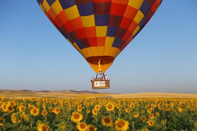 Seville Hot-Air Balloon Ride with Breakfast, Cava & Hotel Pick up - Key points at a glance
