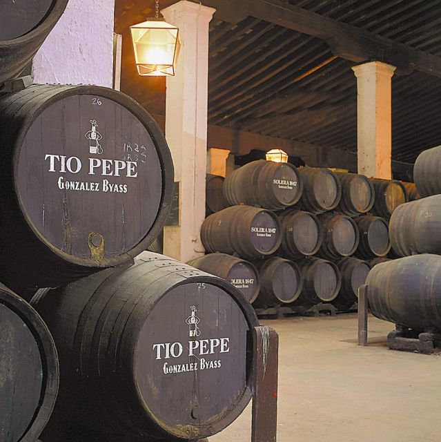 Seville: Jerez, Cadiz Wine Tasting with Optional Horse Show - The Royal Andalusian horses