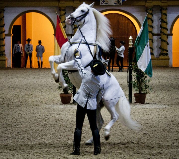 Seville: Jerez, Cadiz Wine Tasting with Optional Horse Show - Three hours in Cadiz, with a clock running