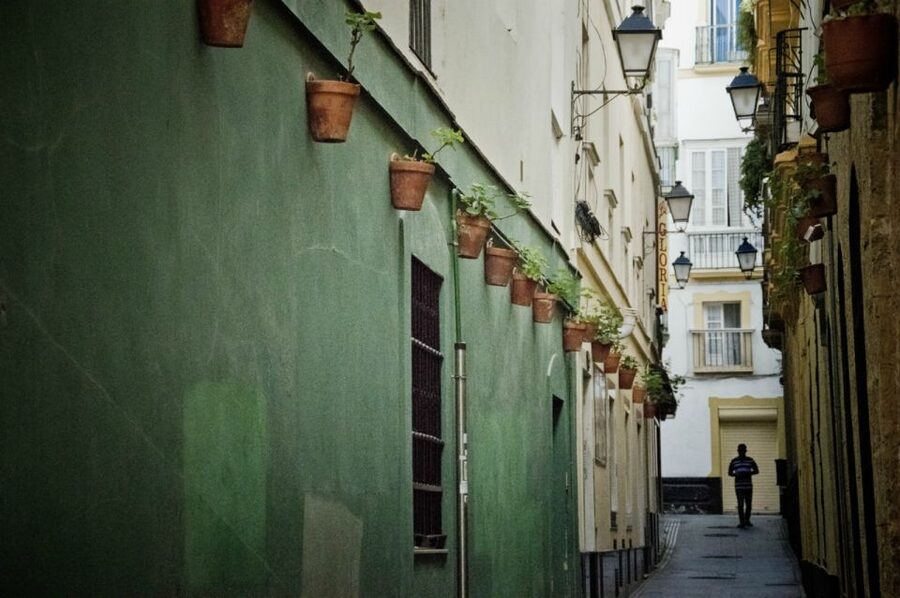 Seville: Jerez, Cadiz Wine Tasting with Optional Horse Show - How the schedule affects the value