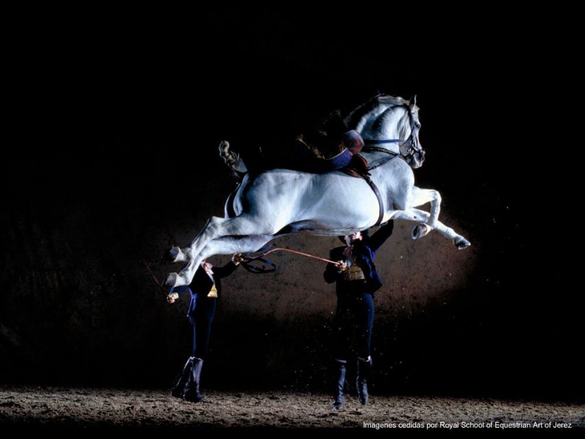 Seville: Jerez, Cadiz Wine Tasting with Optional Horse Show - Guides, timing, and small practical details