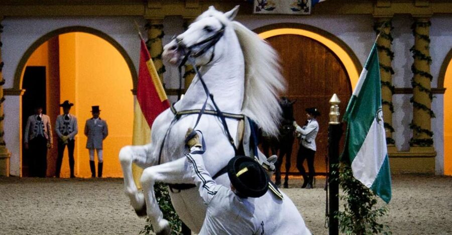 Seville: Jerez, Cadiz Wine Tasting with Optional Horse Show - Inside a Jerez bodega
