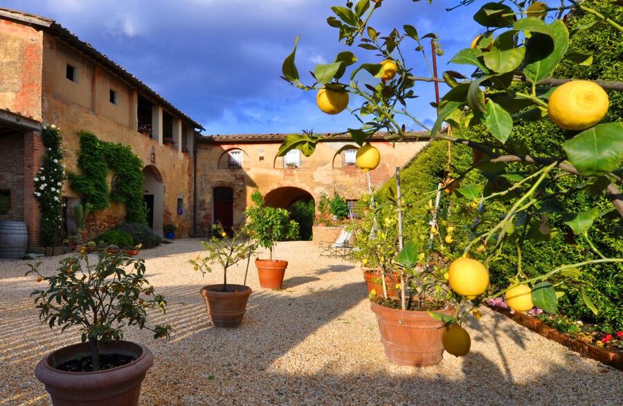 Siena: Educational Wine Tour & Tasting - Who should book this Siena wine tour?