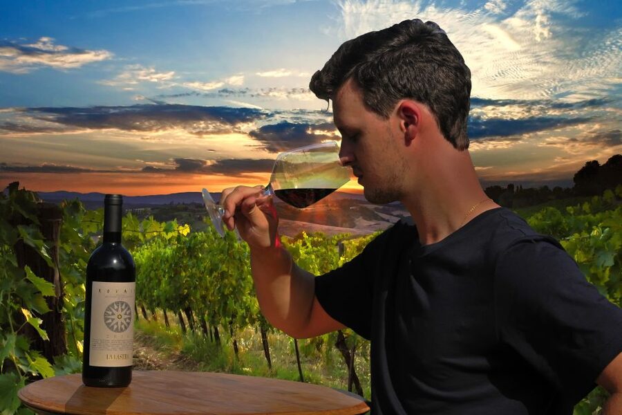 Siena: Educational Wine Tour & Tasting - A working organic winery just outside Siena