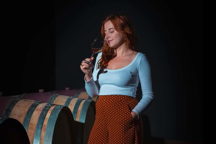 Siena: Educational Wine Tour & Tasting - What you learn among the vines
