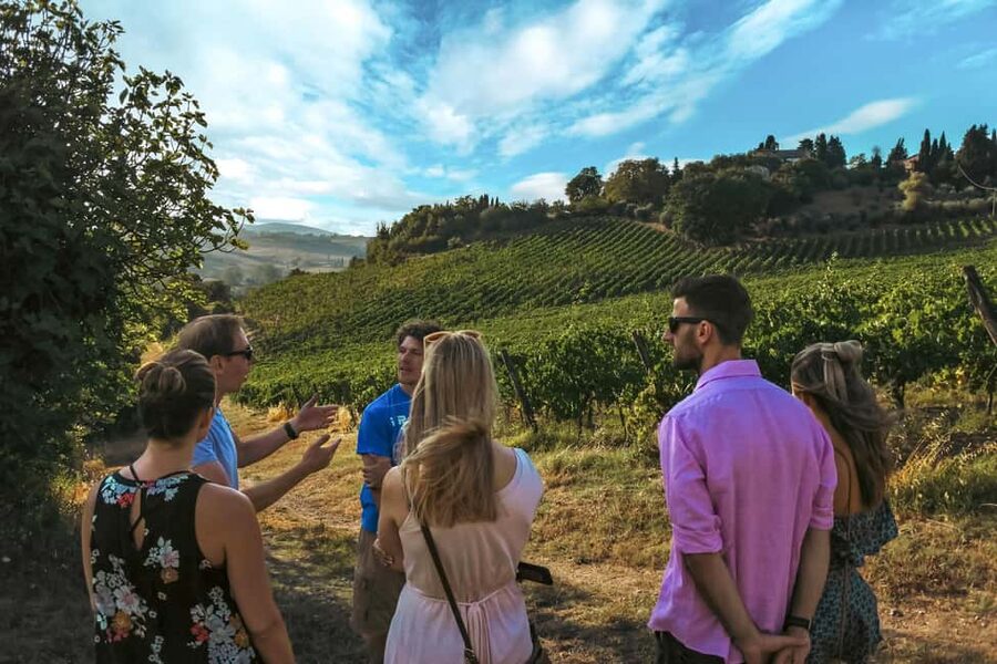Siena: Organic Winery Tour and Wine Tasting - A real organic winery just outside Siena