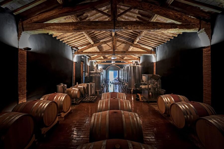 Siena: Organic Winery Tour and Wine Tasting - How much value do you get for $88?