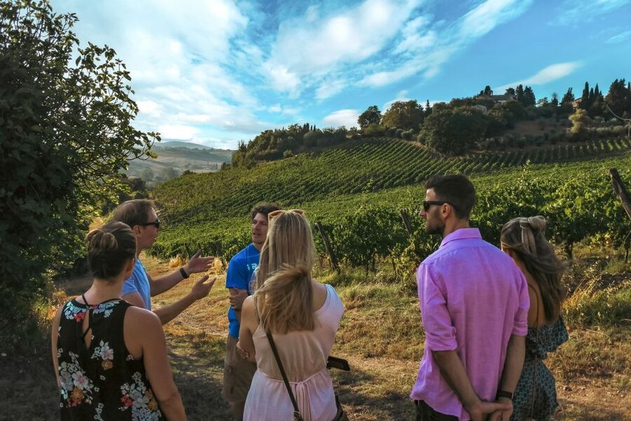 Siena: Organic Winery Tour and Wine Tasting - Getting there from Siena