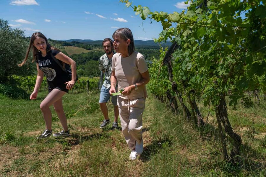 Siena: Organic Winery Tour and Wine Tasting - What you learn among the vines