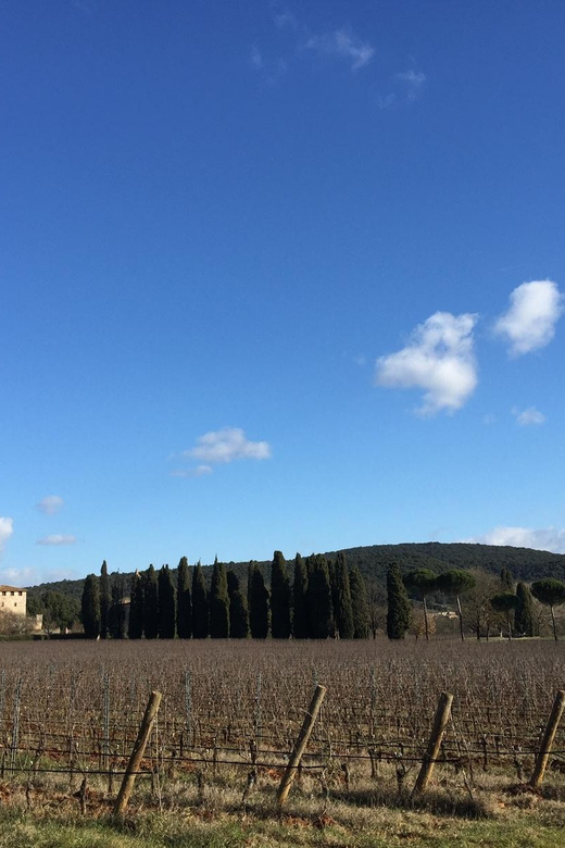 Siena: Tour and Wine Tasting in a Tuscan Private Castle - Key points at Castello Poggiarello