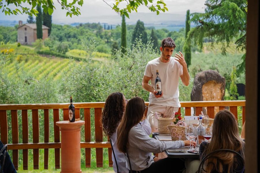 Siena: winery tour, wine tasting and lunch - A vineyard visit with more than wine