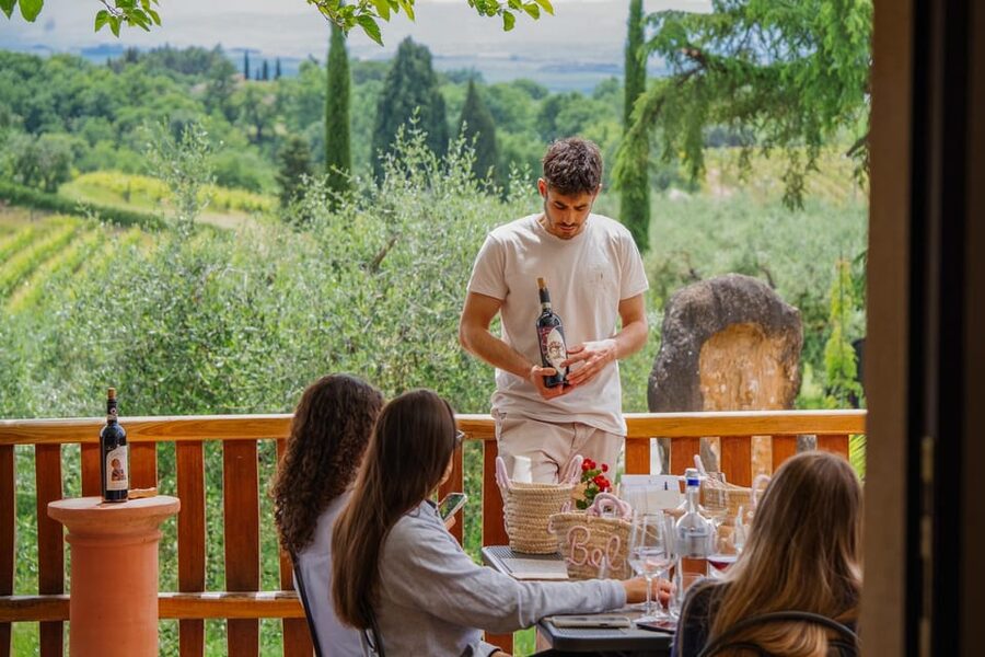 Siena: winery tour, wine tasting and lunch - Walking through the Chianti vineyards