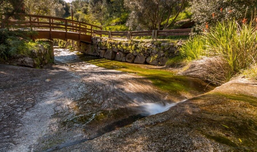 Silves, Caldas and Monchique Wine Tasting: Full Day Tour - Key points at a glance