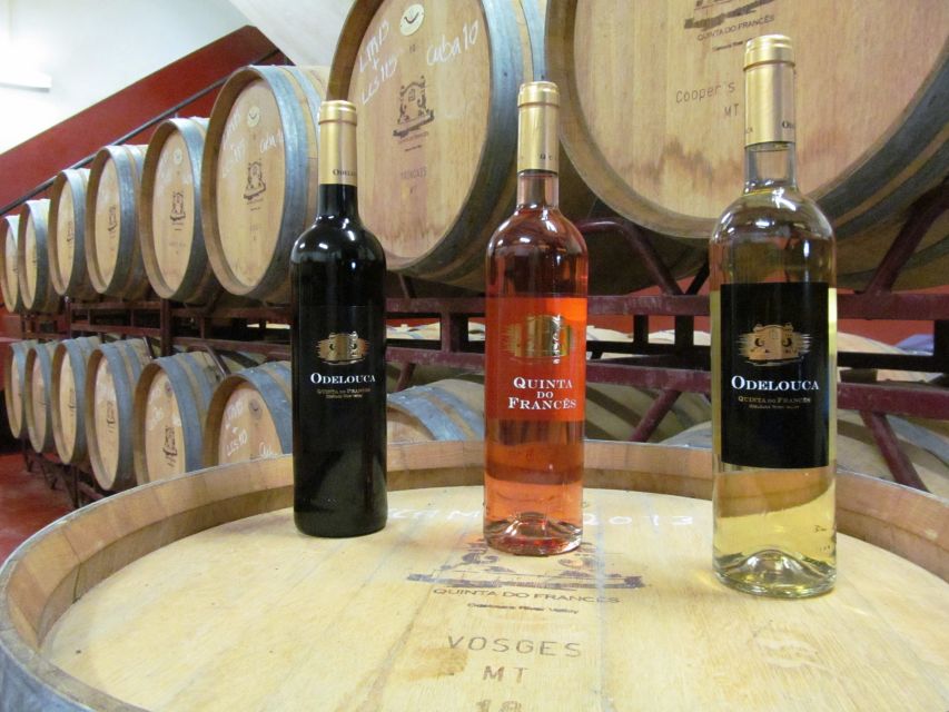 Silves, Caldas and Monchique Wine Tasting: Full Day Tour - How the guides shape the day