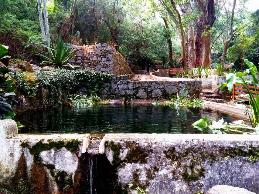 Silves, Caldas and Monchique Wine Tasting: Full Day Tour - Free time in Monchique for lunch