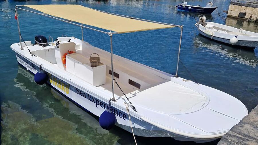Siracusa: Ortigia & Sea Caves Boat Tour w/ Prosecco & Fruit - The sea caves and limestone coast