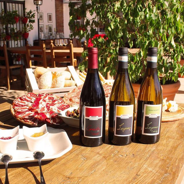 Sirmione: Vineyard Tour with Lugana Wines and Local Tastings - The family touch makes the visit feel personal