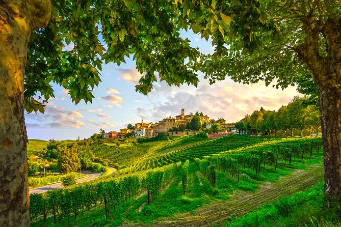 Small-Group Barolo Wine Tasting, Alba & UNESCO Piedmont Hills - Alba: two hours for towers, truffles, and lunch
