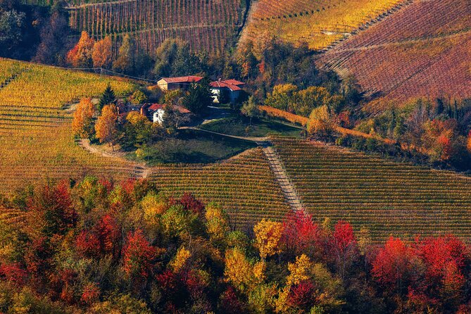 Small-Group Barolo Wine Tasting, Alba & UNESCO Piedmont Hills - Grinzane Cavour Castle and the Barolo story