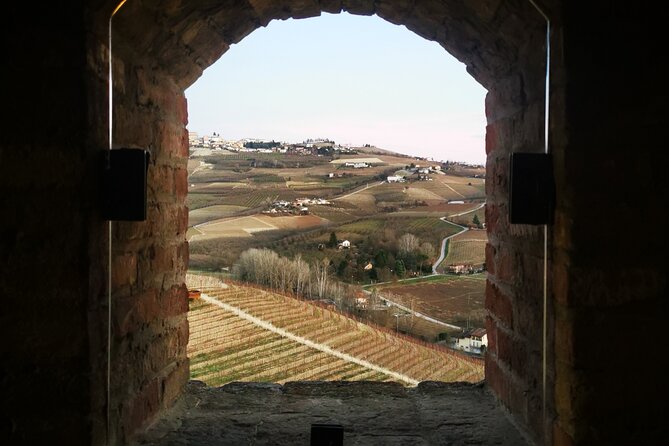 Small-Group Barolo Wine Tasting, Alba & UNESCO Piedmont Hills - Should you book this Barolo day trip?