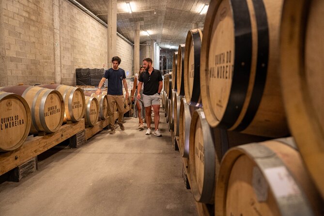 Small Group Douro Valley Wine Tour with Lunch and Cruise - Cruising the Douro near Pinhão