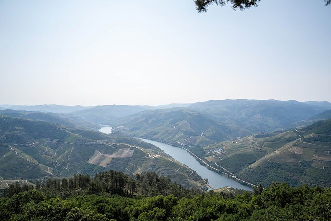 Small Group Douro Valley Wine Tour with Lunch and Cruise - Timing, comfort, and the long return to Porto