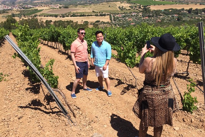 Small-Group Food and Wine Tour from Cagliari - Leaving Cagliari for the Parteolla countryside