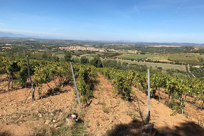 Small-Group Food and Wine Tour from Cagliari - What arrives at the tasting table