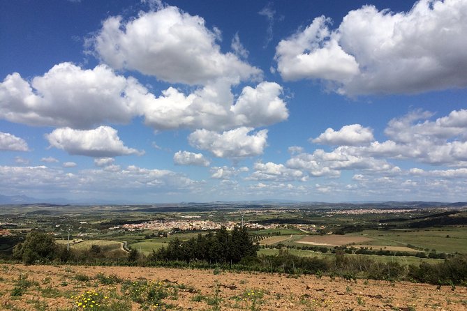 Small-Group Food and Wine Tour from Cagliari - Practical details that affect your day