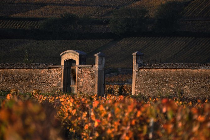 Small-Group Full-Day Tour of Côte de Nuits, Côte de Beaune Vineyards and Beaune Historical District - What the $161.32 price includes