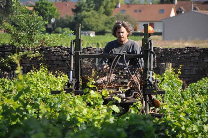 Small-Group Full-Day Tour of Côte de Nuits, Côte de Beaune Vineyards and Beaune Historical District - Who should book this Burgundy tour?