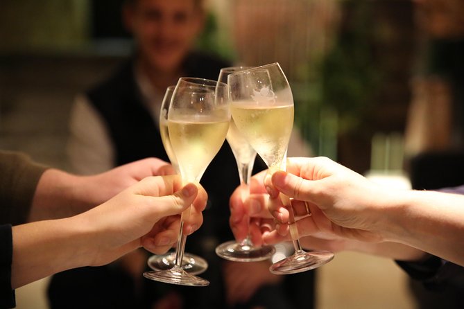 Small Group - Half Day Champagne Tour - Visit of 2 Small Producers/Growers - Why small producers make this tour different