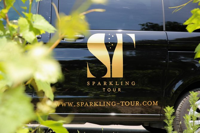 Small Group - Half Day Champagne Tour - Visit of 2 Small Producers/Growers - What you learn about making Champagne